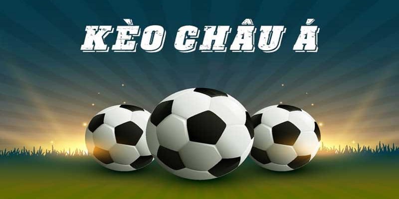 Bí quyết đặt cược nhanh thắng thành công là nghiên cứu về trận đấu