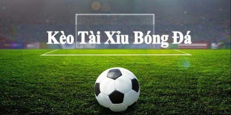 Giới thiệu tài xỉu bóng đá hấp dân tỷ lệ thưởng cao