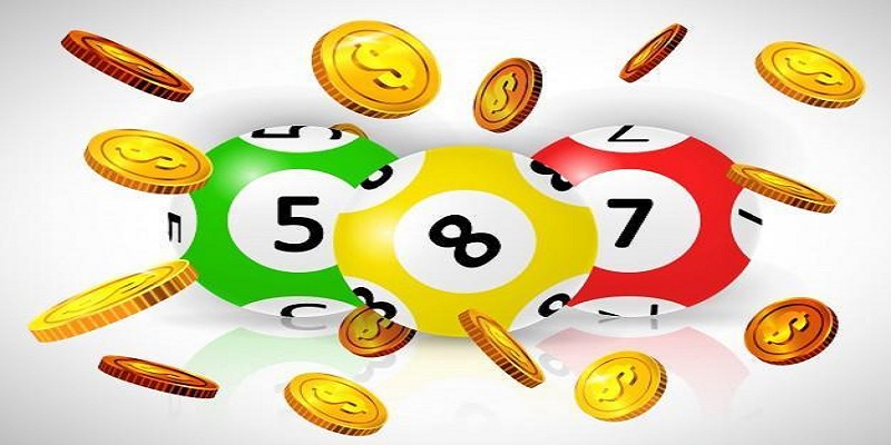 Cá cược 3 càng tại với tỷ lệ thưởng cao tại nhà cái helo88