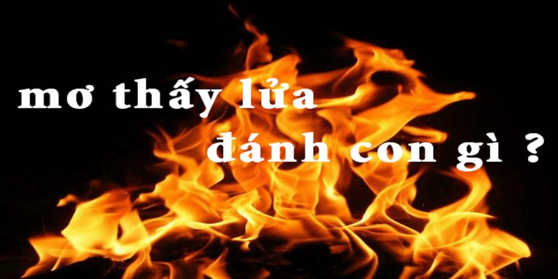 Khi mơ thấy lửa đánh con gì
