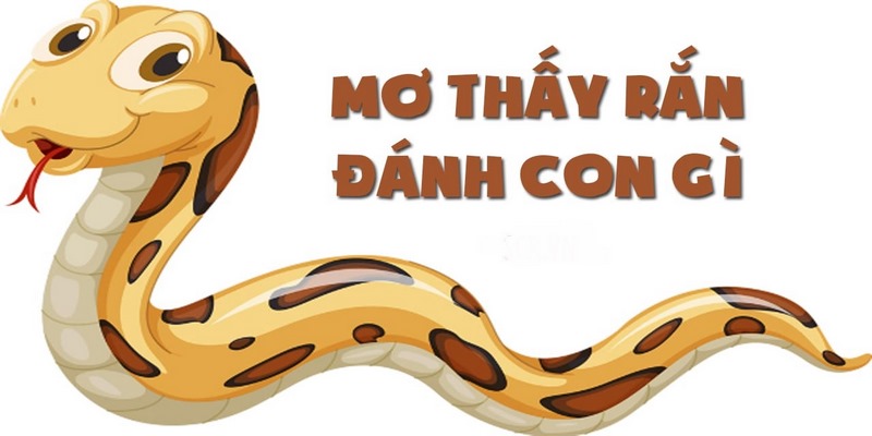 Con số may mắn khi nằm mơ thấy rắn