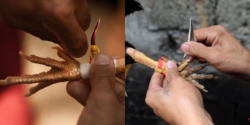 Phân tích kỹ thuật và sức mạnh của 2 loại vũ khí phổ biến
