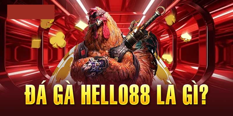 Thông tin mới nhất về kiểu chơi đá gà Helo88 hiện nay
