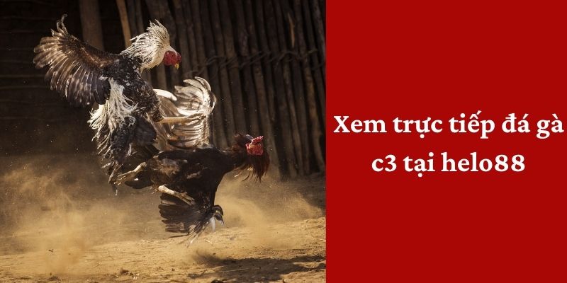Xem trực tiếp c3 tại helo88 có nghĩa là gì?